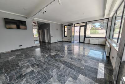 Spatiu comercial zona Trocadero-Ion Lahovari - 6