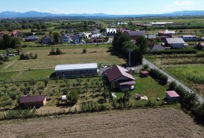 Spațiu industrial de 150mp de vânzare - 12