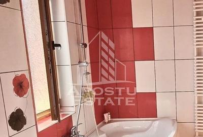 Casa 4 camere de inchiriat, curte proprie, Mosnita Noua, Timis - 11