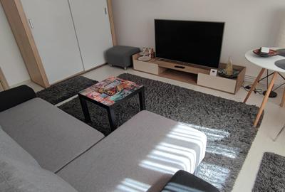 Garsonieră Gavana 2 , RENOVATĂ / Centrală , mobilată / utilată ! - 4