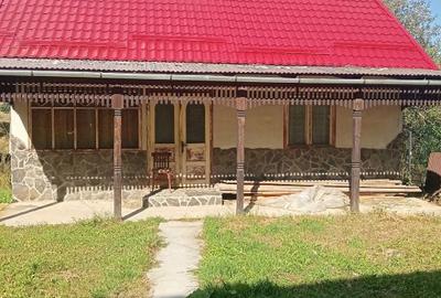 Vand proprietate (casa+ teren) - 2