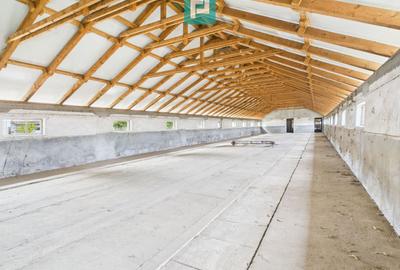 Hală pentru producție / fermă zootehnică  - Variaș - 3