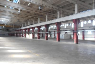 Hala industriala cu pod rulant de inchiriat Lugoj - 5