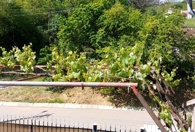 Casa 2 camere suprafata utila 78 mp,teren 691 mp,spre vanzare in Gusu Sibiu - 3