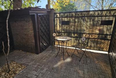 Apartament cochet - zona Domenii - direct proprietar - 12