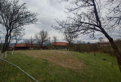 10 000 mp teren intravilan cu priveliste - 6