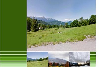 Teren Intravilan 80.000mp 3 Brazi,Predeal Comision 0 - 4