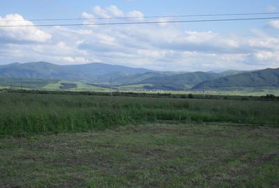 Imobiliare Maxim - teren in Cristian - 2