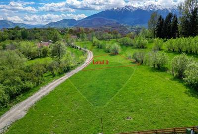 Teren 500mp-1000-2000mp, intravilan, intre Bran si Zarnesti (Tohanita) - 5