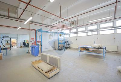 De vânzare spațiu industrial PGS Sofa, calea Borșului - 34