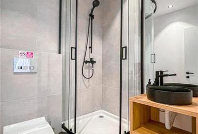 Apartament de 4 camere Victoriei cu terasa - 7