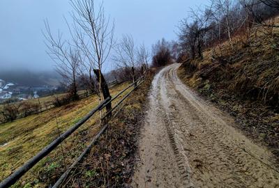 Teren intravilan Simon/Bran, 4318 mp , casuta intabulata, utilitati - 32