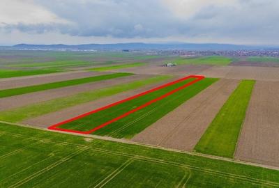 Comision 0%, teren extravilan Prejmer - 1