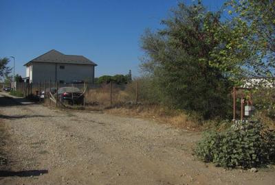 Prelungirea Ghencea Iernii - 9