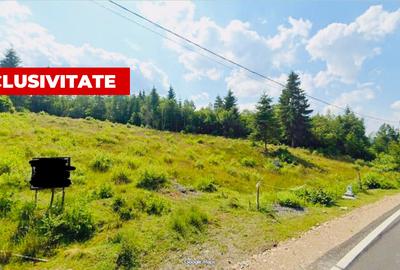 Teren de vanzare , 2.000 mp la strada , Calatele - 1