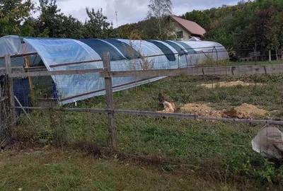 Proprietate cu potențial generos în Lunca Mare - Prahova - 7