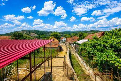 Casa P+M, teren 1440 mp, oras Lipova - 5
