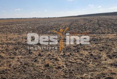 Teren agricol extravilan de 7802 mp, în Domnești