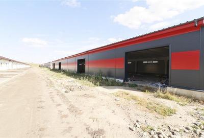 Spațiu industrial, de 600 mp, în Exterior Vest