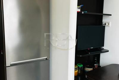 Apartament 3 camere Liviu Rebreanu , mobilat complet + loc de parcare - 13