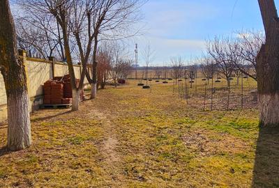 Vila individuala 7 camere | Zona Iancu Nicolae - Serban Cantacuzino | Teren 3250 - 26