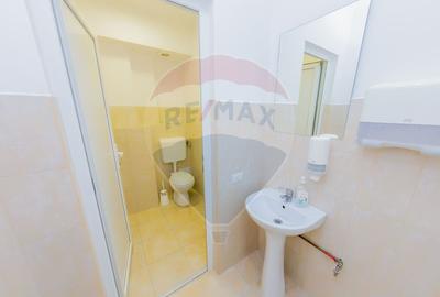 LUX! De inchiriat SPATIU COMERCIAL cu birouri, magazie și acces TIR - 23