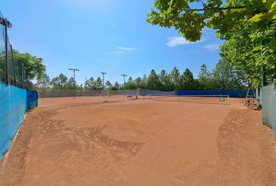 Teren intravilan 3707 mp - Aviatiei - 1