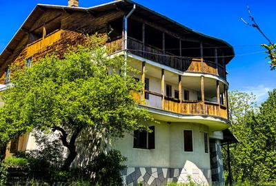Complex imobiliar format din 2 Vile si un teren generos de 3659Mp - 2