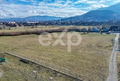 Teren 3.120 mp cu potențial de dezvoltare – Săcele | Posibilitate PUZ - 1