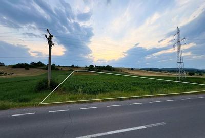 Teren intravilan industrial 7400 MP com. Ilieni , Jud. Covasna - 3