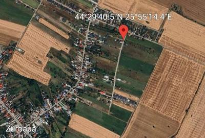 Teren Intravilan Zurbaua Dragomiresti 500mp - 10