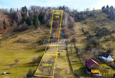 Teren intravilan in Moeciu de jos – Vedere panoramică Piatra Craiului - 2