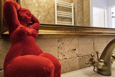 APARTAMENT RENOVAT ULTRACENTRAL | PIATA VICTORIEI - 8