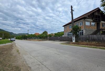 CASA/SPATIU COMERCIAL - GENUNENI - 8