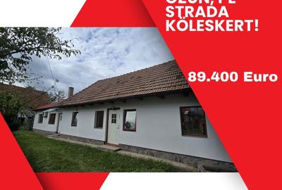 Casă individuală cu 3 camere în Ozun