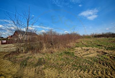 Teren intravilan 2273 mp in Pitesti, str. Mateias, iesire spre Campulung Muscel - 7