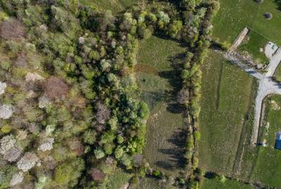 0% Comision | Teren intravilan Zărnești (Tohanița) | Vedere superbă - 2