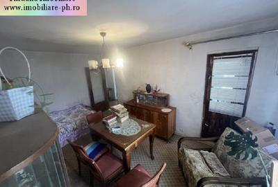 Apartament  3 camere de vanzare : 9 Mai-(Frasinet) - 10