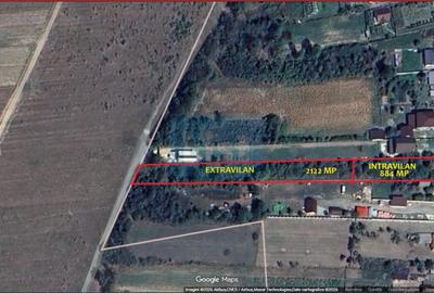 Casa + teren 3.006 mp – intravilan + extravilan | Preajba Mare - 1