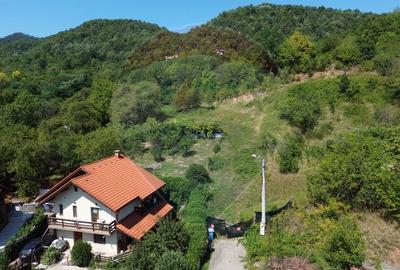 Teren 2,868mp /case/ duplexuri /Baia Mare / Strada Sanatatii Panoramic - 1