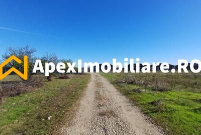 Corbeanca - Tamasi | Teren 1225mp, deschidere 44ml | Utilitati la 50m - 4