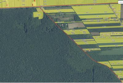 `Teren langa padure, Snagov - Strada Parcului - 2