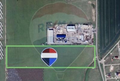 Teren intravilan 5,9 ha la doar 8E/mp fs 150m la 8 km de Arad - 1