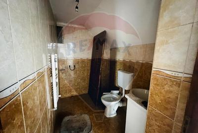 Casă P+E+M cu spălătorie auto și restaurant la DN 7 în LIPOVA - 13