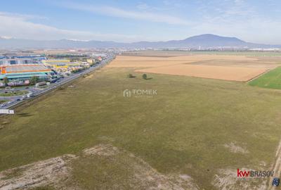 TEREN INTRAVILAN 5337 MP BARTOLOMEU ZONA CATTIA - 6