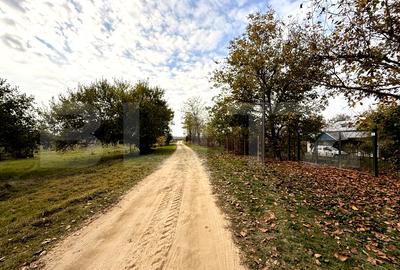 Teren EV si IV cu casa, 29.600 mp, utilitati si acces facil, Albesti - 1