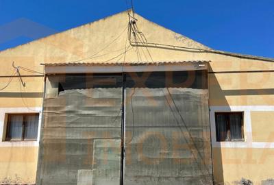 Hala situata in Ovidiu - 1