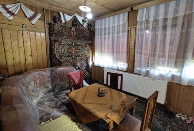 Casa vacanta,investitie  in Gurahont cu teren generos - 16