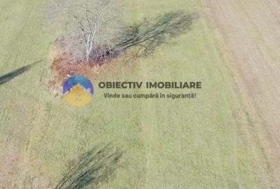 TEREN intravilan  4488 mp - PANGĂRAȚI - 1