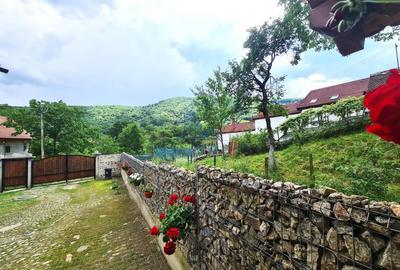 Casa rustica \ deosebita \ Marginimea Sibiului \ Fantanele - 14